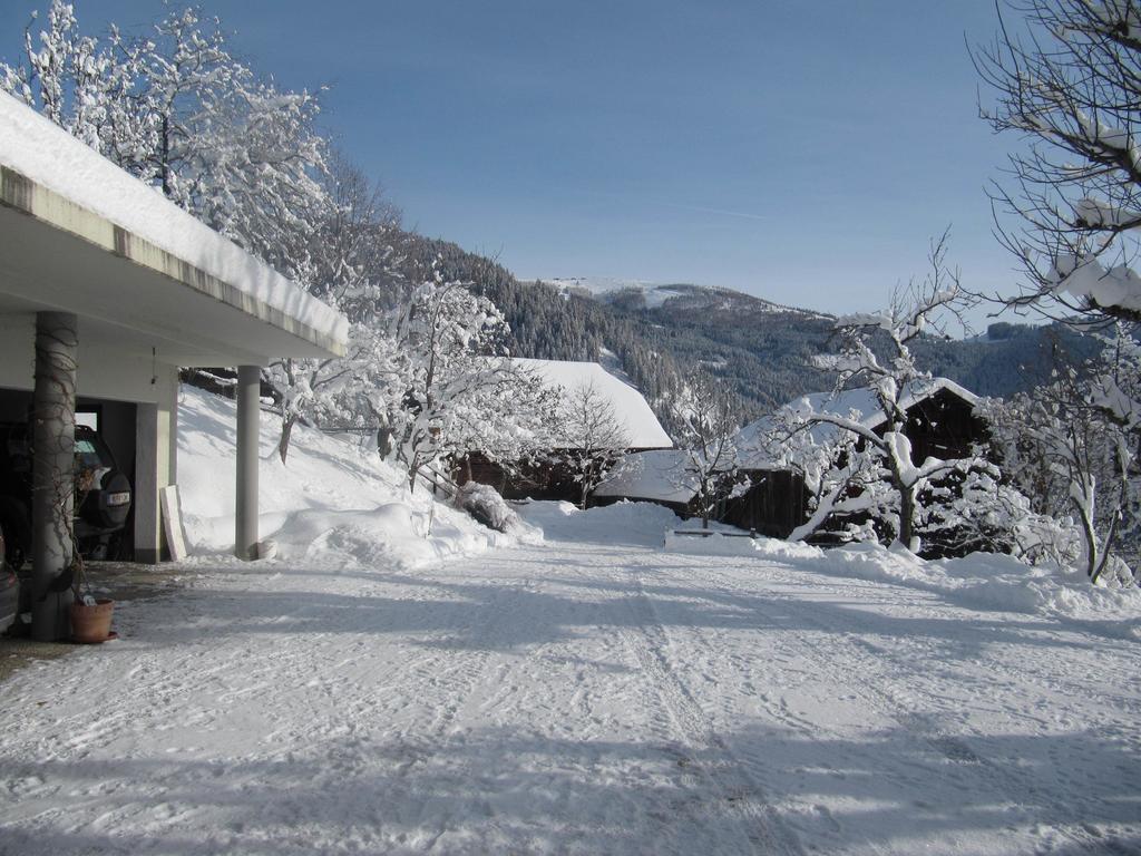 Pölling Apartments Berghof Familie Steinwender חדר תמונה