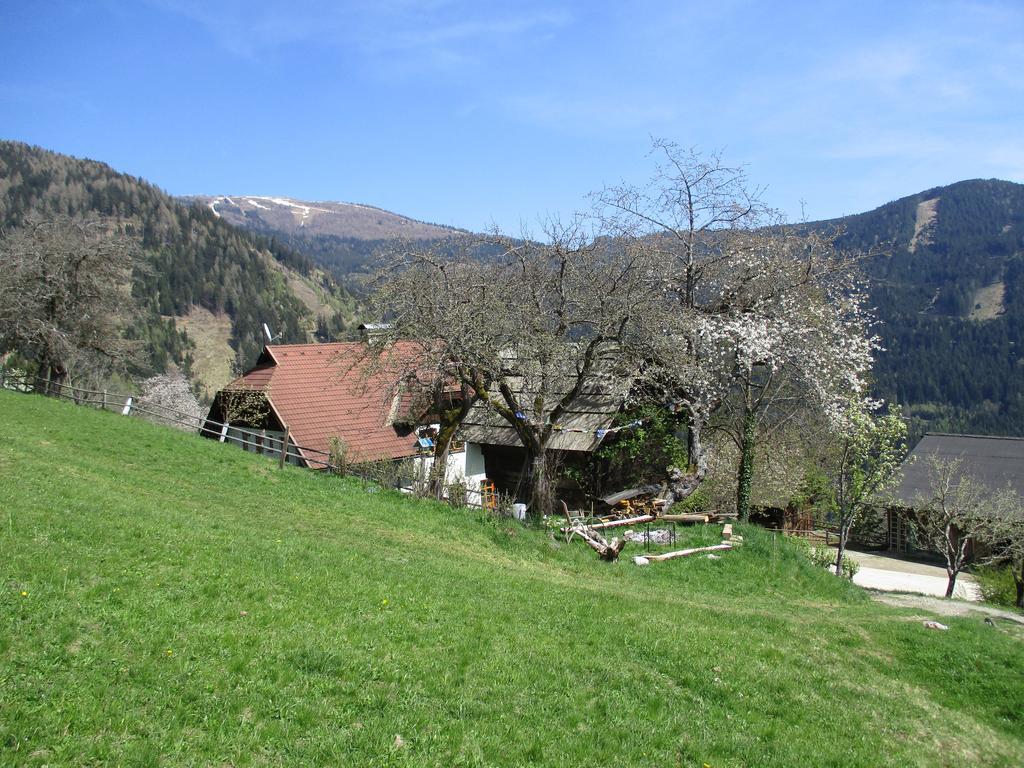 Pölling Apartments Berghof Familie Steinwender מראה חיצוני תמונה